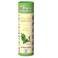 Boswellia edrait 65% d'acides Bosweffiques 120 gél. végétales - Ayur-Vana