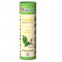 BOSWELLIA Bio 120 gél. - Articulations & Mobilité - Ayur-Vana