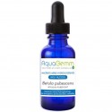 BOULEAU PUBESCENT AQUAGEMM - Draineur Hépatique et Detox - Biogemm