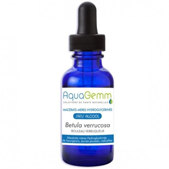 BOULEAU VERRUQUEUX AQUAGEMM - Cérébral et Concentration - Biogemm