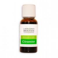 CITRONNIER, Macérât- Biogemm - Gemmothérapie