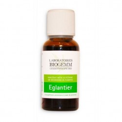 EGLANTIER action anti-inflammatoire bourgeons Biogemm