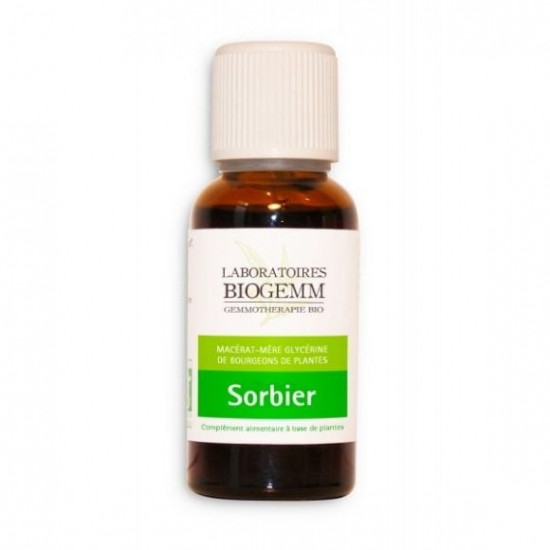 SORBIER Bio - Circulation Veineuse et hémorroïdes - Biogemm