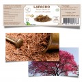LAPACHO - anti-bactérien et immunité 180 gél.- Baobab