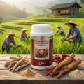 Ashwa/Ginseng - Hormones et équilibre mental - Irelia