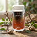 BOSWELLIA SERRATA - Confort Articulaire et Inflammation - IRELIA Botavie