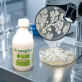 OCTANOPLEX Candidose Chronique - Effiplex Dr. Schmitz