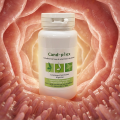 CANDPLEX + Candidose Chronique - Effiplex Dr. Schmitz