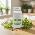 CANDPLEX + Candidose Chronique - Effiplex Dr. Schmitz