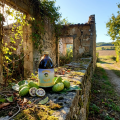 NONI-JADE - 1 litre - Jus de Noni Jade recherche