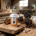 CHAGA - Système Digestif - Irelia