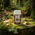 Reishi - Ganoderma -Irelia-Infinie-santé