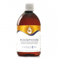 PHOSPHORE - solidité des os et dents - Catalyons