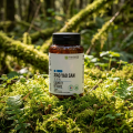 Xiao yao san, stress foie emotions - Laboratoires Calebasse - Laboratoires Calebasse
