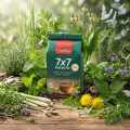 AlcaPlantes 7x7 - Tisane bio aux 49 100g plantes - Jentschura