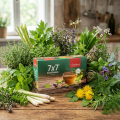 AlcaPlantes 7x7 - Tisane bio aux 49 plantes - 100 sachets - Jentschura