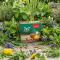 AlcaPlantes 7x7 - Tisane bio aux 49 plantes - 50 sachets - Jentschura