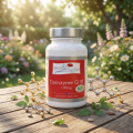 CoEnzyme Q10 100mg - Apport quotidien d'ubiquinone - Valencie Nutrition