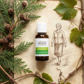 GEMMOANTI-AGE - Antioxydant et revitalisant - Bourgeons - Biogemm