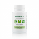 GASTRIPLEX - 60 gél. - Confort Estomac - Effiplex Dr Schmitz