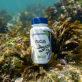 FUCUS - contrôle du poids et tyroïde 120 gel - MGD Nature