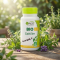 GATTILIER Bio - troubles du cycle menstruel. 90 gél - MGD Nature