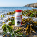 WAKAME + CHLORELLA - 60 gél. - Vitalité, Détoxication - MGD NATURE