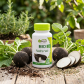 RADIS NOIR - Sphère hépatique etdigestive -90gel - MGD Nature