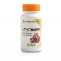 LITHOTHAMNE - 120 gél. - Ossature et Équilibre pH - MGD Nature