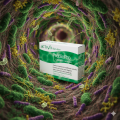 PRÉBIOPRO BIEN-ÊTRE - 30 gél. - Probiotiques et Prébiotiques - ACTIVA