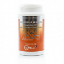 BOSWELLIA SERRATA - Confort Articulaire et Inflammation - IRELIA Botavie