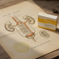 URINAIRE BIEN-ÊTRE - Confort et Élimination - Activa