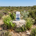 FLEXILIUM VEGAN - 60 gél. - Articulations et Capital Osseux - LT Labo