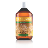 COR SILUMINE Liquide - 500ml Jade recherche