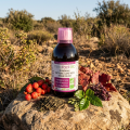 MINCIFACIL Bio 500 ml - minceur et Détox LT Labo
