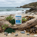 PHYCO++40 BiO - 32 gél. - Ultra-Concentré en Phycocyanine - LT Labo