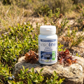 VISIOLINE BiO - 60 gél. - Confort Visuel et Protection Écrans - LT Labo
