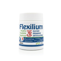 FLEXILIUM GEL 250 ml LT labo