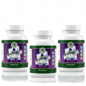 PACK x3 - LTO3 Sans Saveur - Herb-e-Concept