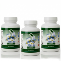 PACK x3 - LTO3 Sementis Original - Herb-e-Concept