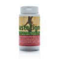 JUSTELIGNE Minceur - Jade Recherche
