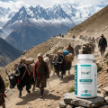 SHILAJIT 50% ACIDE FULVIQUE - 60 gél. - Énergie - Hexa3