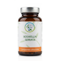 BOSWELLIA SERRATA - Confort Articulaire & Digestion - Planticinal