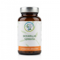 BOSWELLIA SERRATA - Confort Articulaire & Digestion - Planticinal