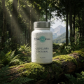CURCUMA LIPOSOMAL 95% - Articulations & Cartilages - Therapinov