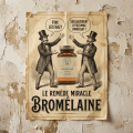 BROMÉLAÏNE 400 MG - Digestion & Apaisement - Planticinal