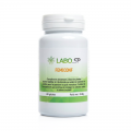 FEMICONF - LaboSP