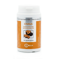 CHAGA - Système Digestif - Irelia