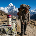 Shilajit 60 gél. végétales - Ayur-Vana