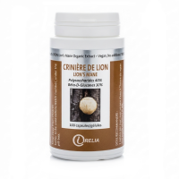CRINIÈRE DE LION (Hericium Erinaceus) - Digestion et dépression - Irelia